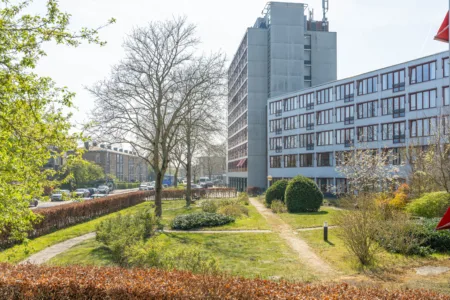Foto van tuin met gebouw Schoterhof er naast