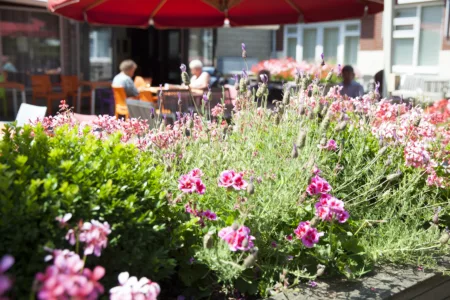 foto van tuin schoterhof met paars/roze bloemen op voorgrond