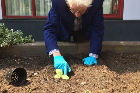 Vrouw bezig in de moestuin