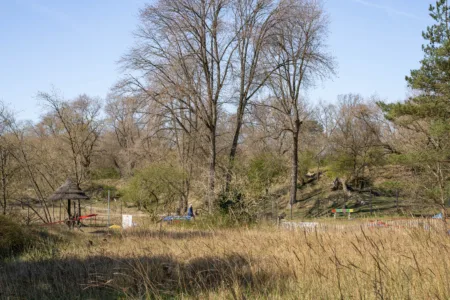 Foto natuur