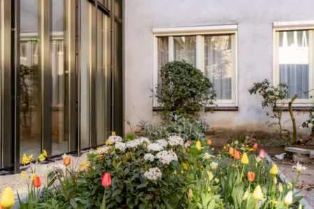 Foto van tuin met gekleurde bloemen
