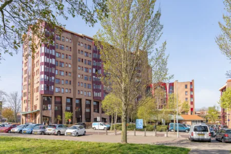 Gebouw van het Reinaldahuis.