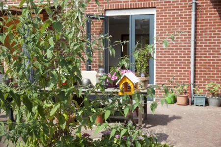 Foto binnentuin Overspaarne met plant