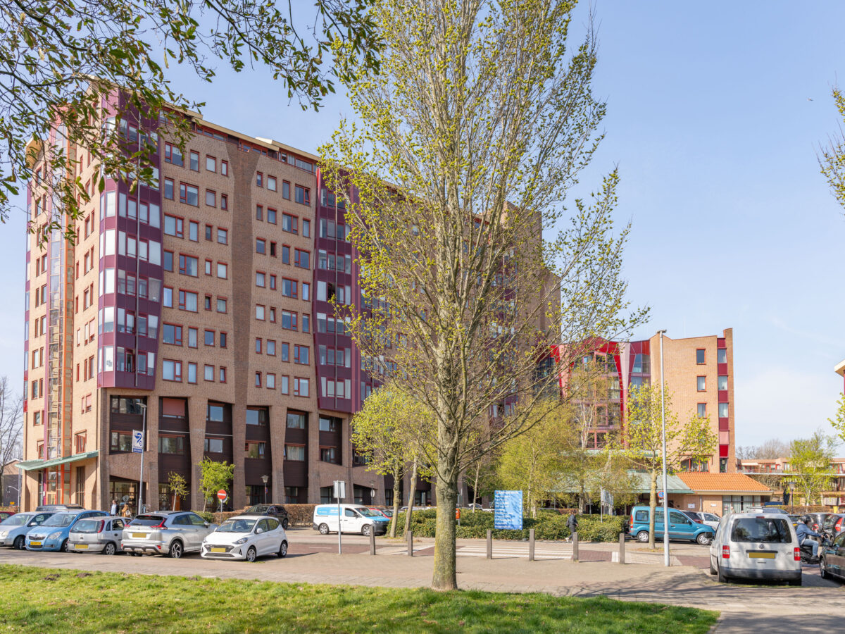 Gebouw van het Reinaldahuis.
